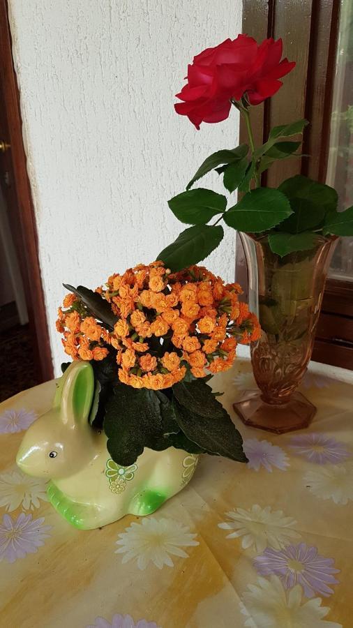 Accomodation Mirjana Rooms Porec Bagian luar foto