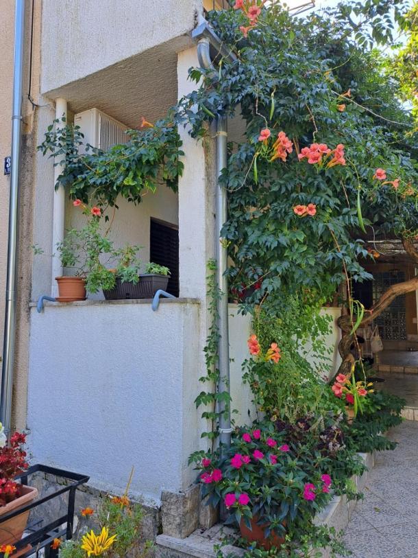 Accomodation Mirjana Rooms Porec Bagian luar foto